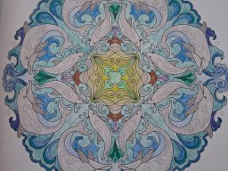 whatsapp bild 2025-07-10 um 13.19.43_e3861716